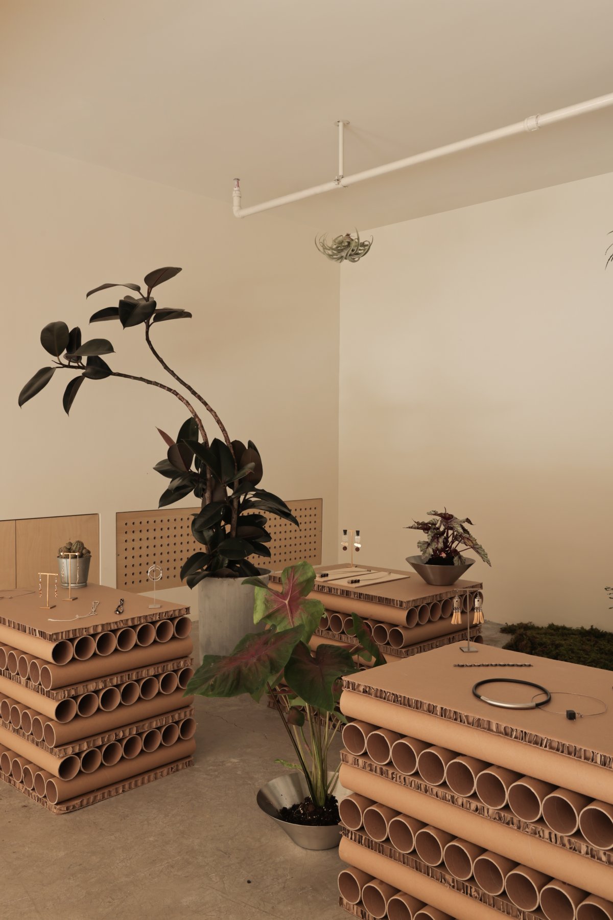 Shejin Space Design