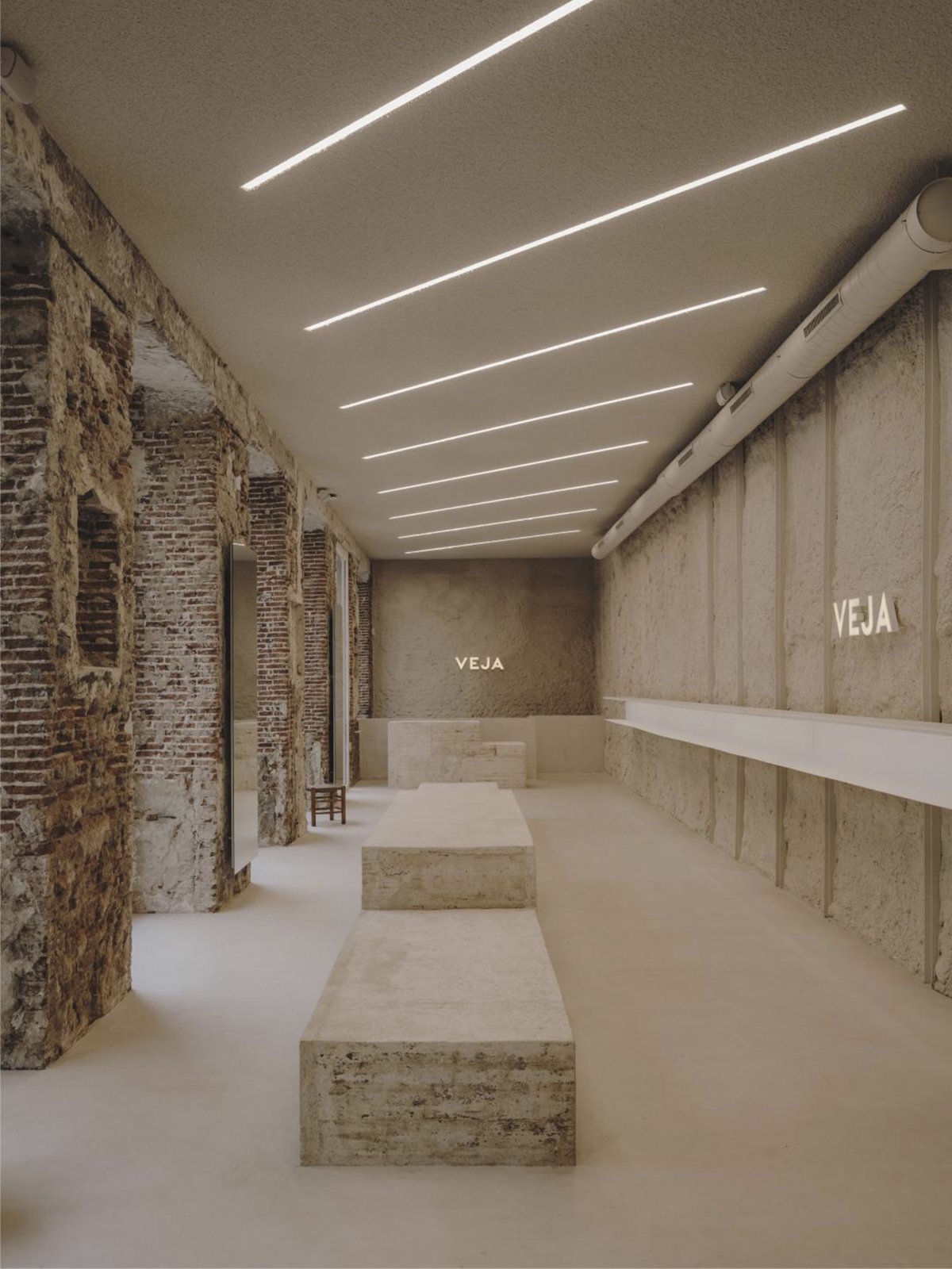 Plantea Estudio